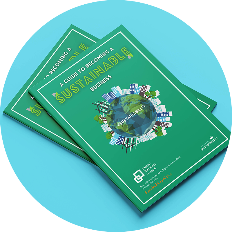 Digital Business Ireland – Sustainability Guide